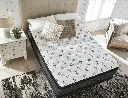 Ashley Ultra Luxury Firm Tight Top With Memory Foam King Mattress